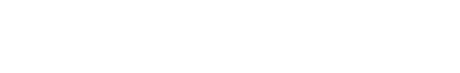Nest Seekers International